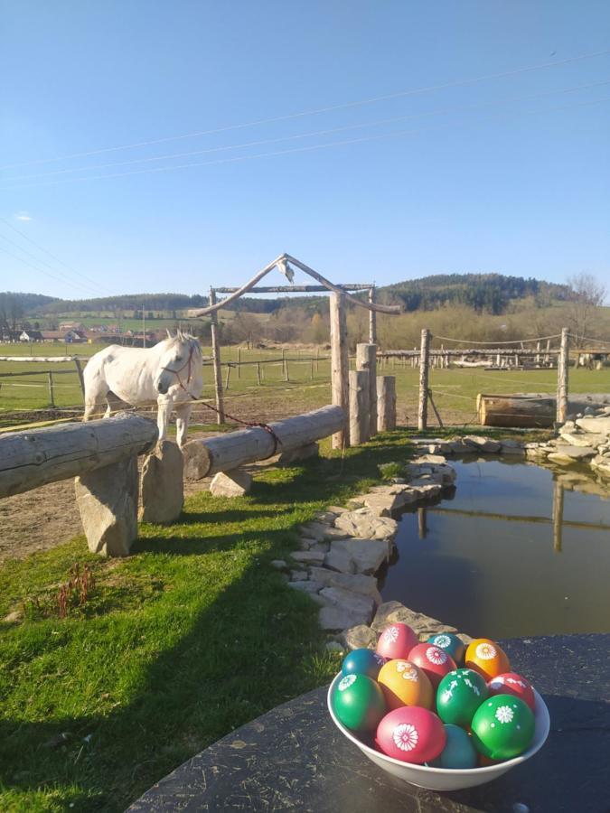 Podkrovni Apartman Pololan U Rybnika Nová Ves Exterior foto