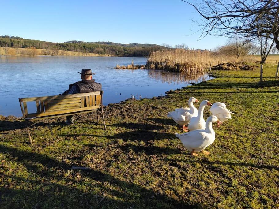 Podkrovni Apartman Pololan U Rybnika Nová Ves Exterior foto