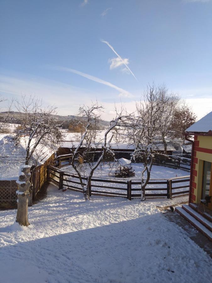 Podkrovni Apartman Pololan U Rybnika Nová Ves Exterior foto