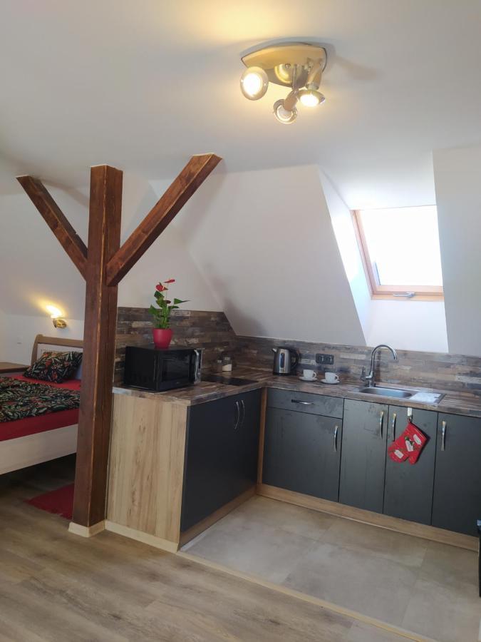 Podkrovni Apartman Pololan U Rybnika Nová Ves Exterior foto